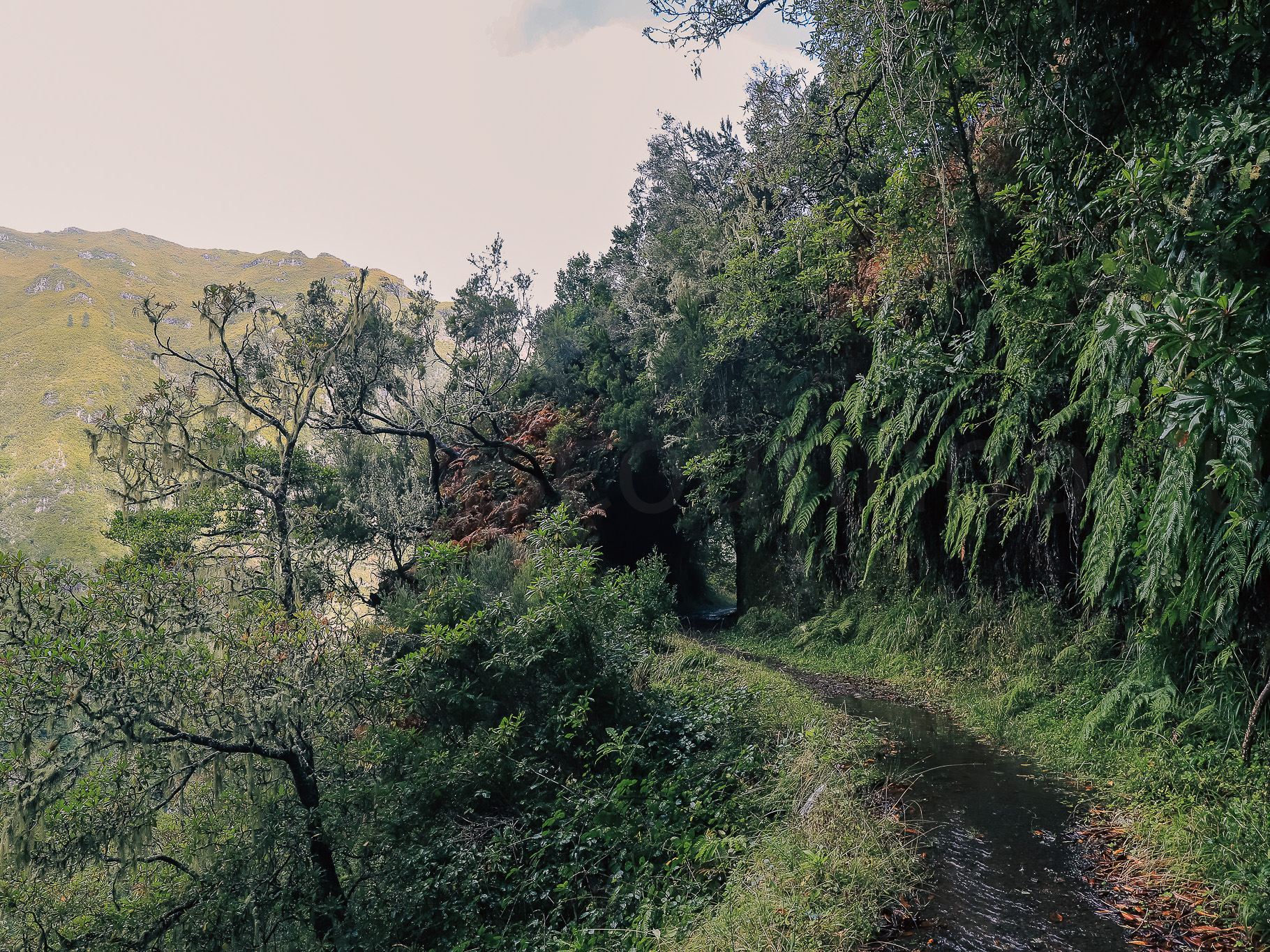 Forest & Gardens slideshow 03