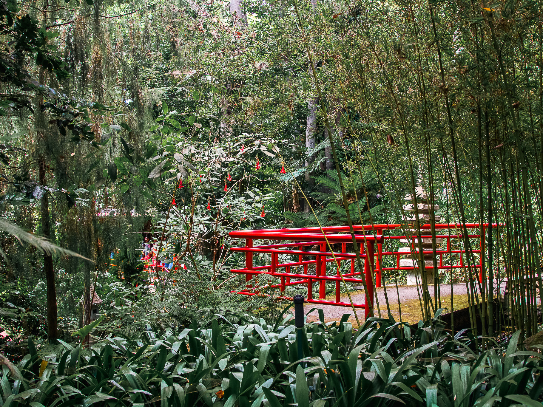 Forest & Gardens slideshow 08