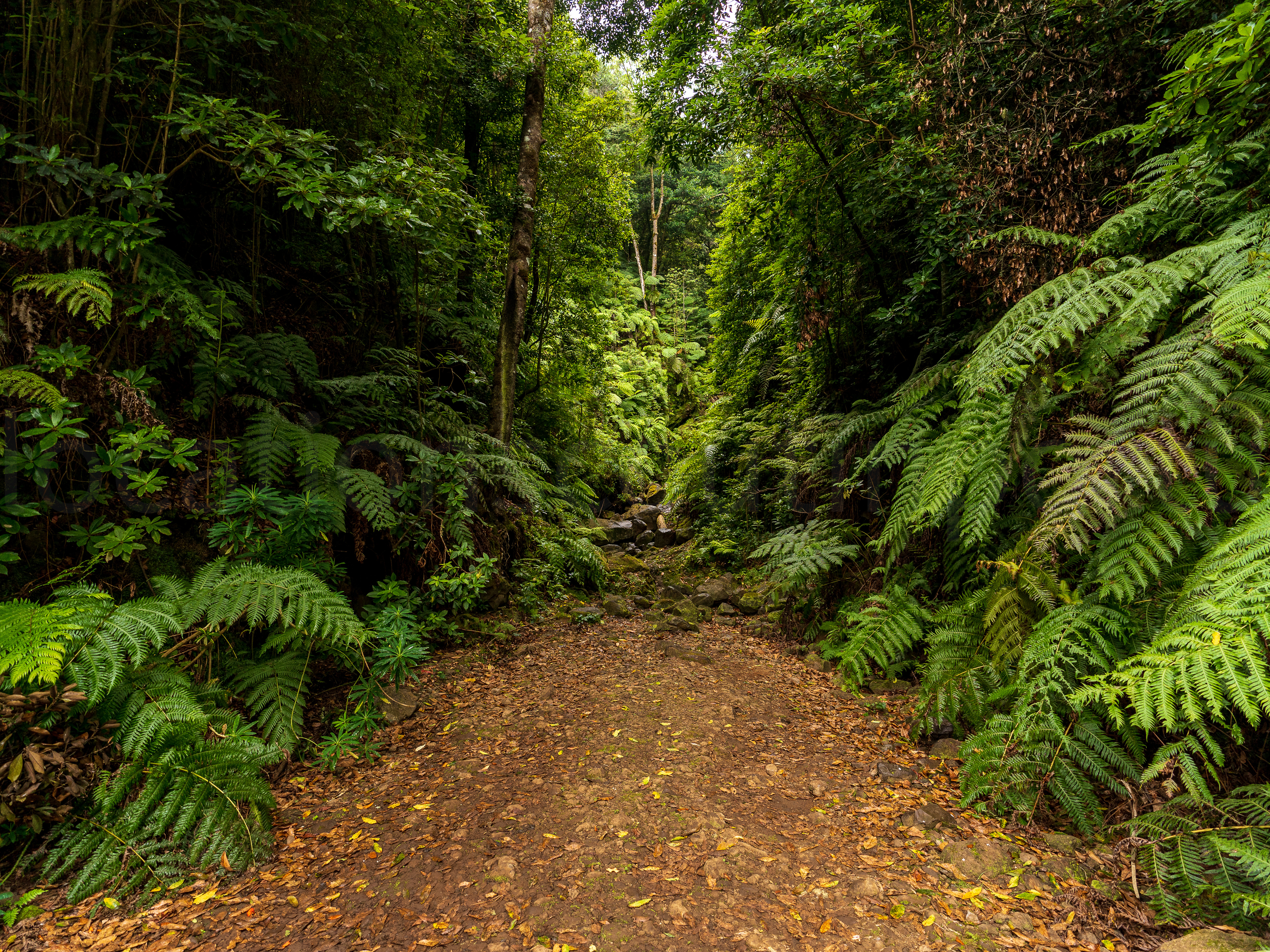 Nature & Mountains slideshow 08