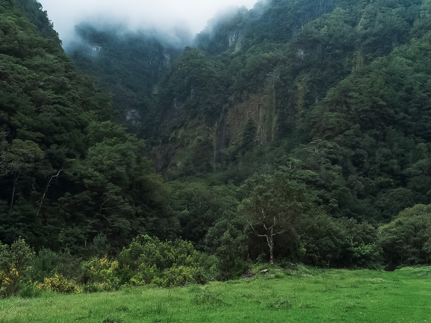 Nature & Mountains slideshow 09