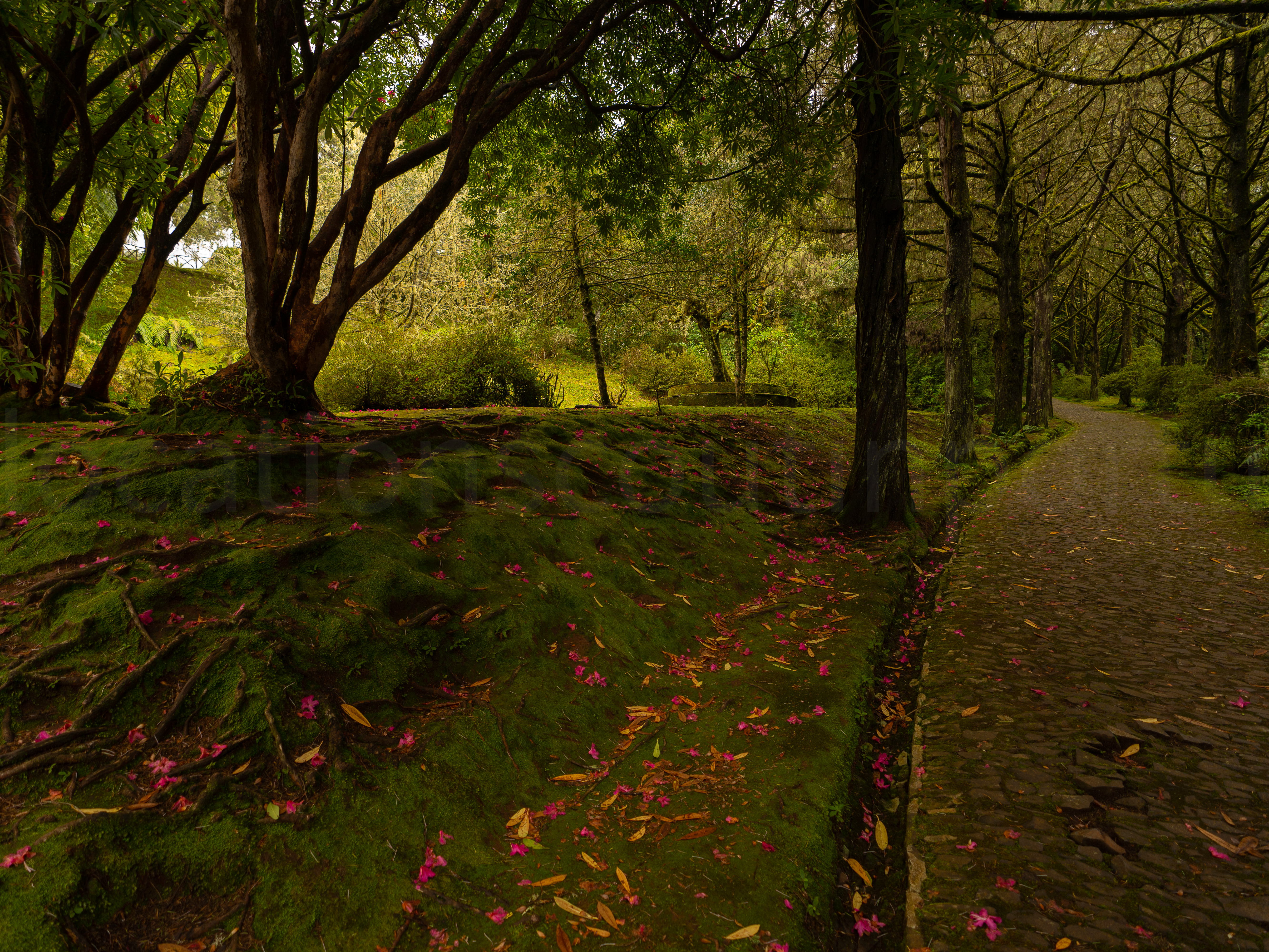 Nature & Mountains slideshow 10