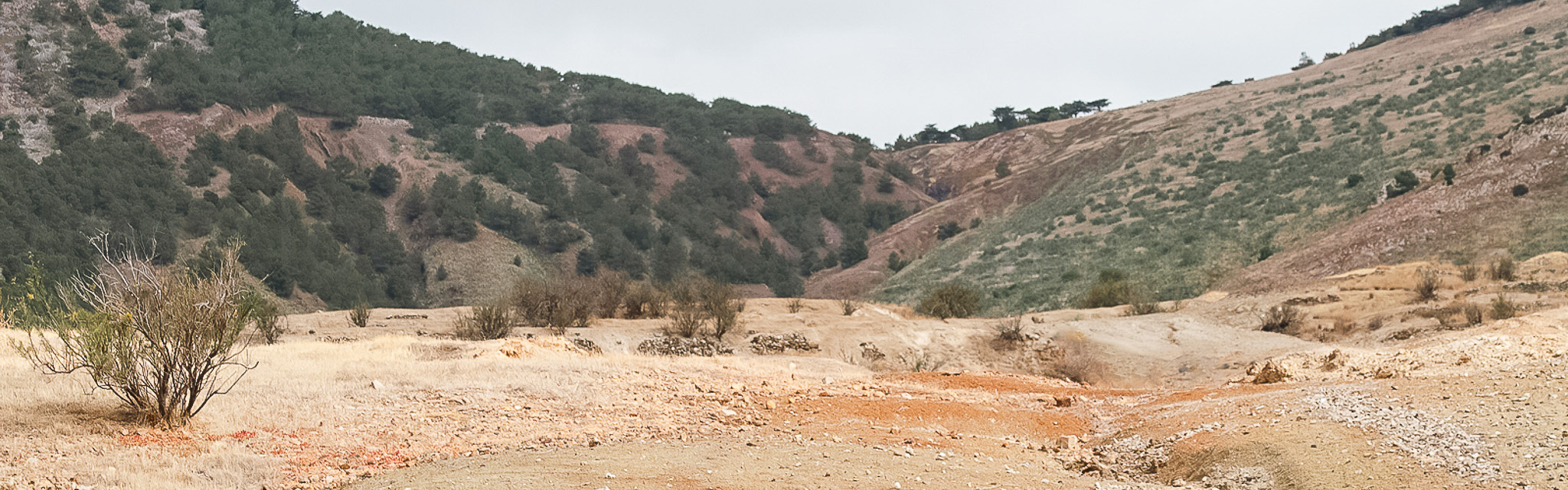 Porto Santo header 24