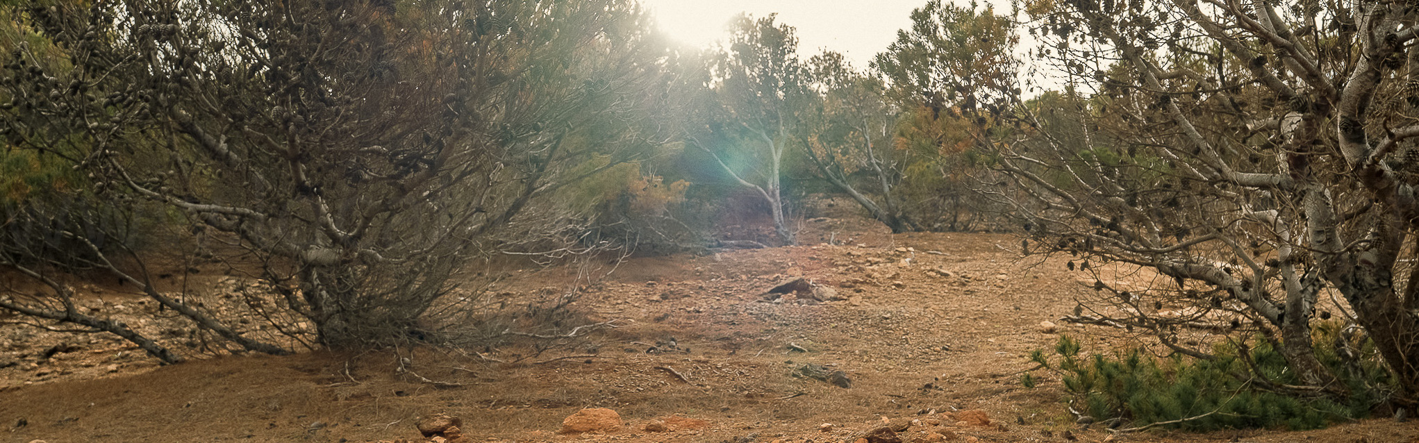 Porto Santo header 33